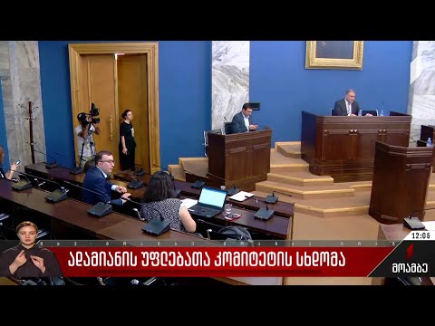 ადამიანის უფლებათა დაცვის კომიტეტმა ევროკავშირის რეკომენდაციები განიხილა